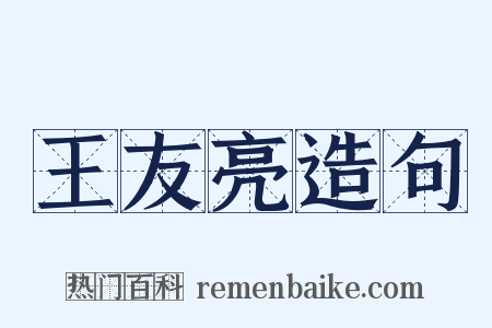 王友亮造句是什么意思的图片